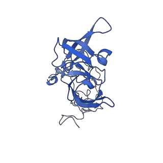 16616_8cf5_EE_v1-6
Translocation intermediate 1 (TI-1) of 80S S. cerevisiae ribosome with ligands and eEF2 in the presence of sordarin