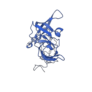 16616_8cf5_EE_v1-7
Translocation intermediate 1 (TI-1) of 80S S. cerevisiae ribosome with ligands and eEF2 in the presence of sordarin