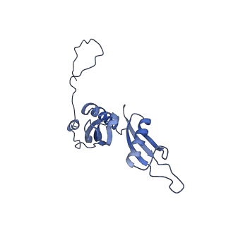 16616_8cf5_E_v1-6
Translocation intermediate 1 (TI-1) of 80S S. cerevisiae ribosome with ligands and eEF2 in the presence of sordarin