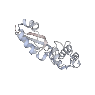 16616_8cf5_Ee_v1-6
Translocation intermediate 1 (TI-1) of 80S S. cerevisiae ribosome with ligands and eEF2 in the presence of sordarin