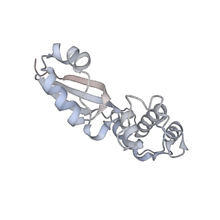 16616_8cf5_Ee_v1-7
Translocation intermediate 1 (TI-1) of 80S S. cerevisiae ribosome with ligands and eEF2 in the presence of sordarin