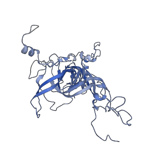 16616_8cf5_FF_v1-6
Translocation intermediate 1 (TI-1) of 80S S. cerevisiae ribosome with ligands and eEF2 in the presence of sordarin