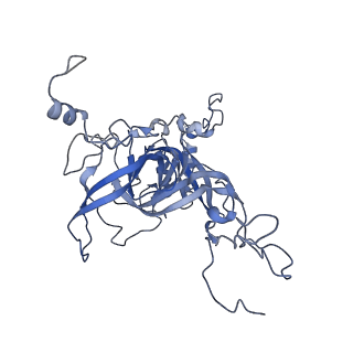 16616_8cf5_FF_v1-7
Translocation intermediate 1 (TI-1) of 80S S. cerevisiae ribosome with ligands and eEF2 in the presence of sordarin