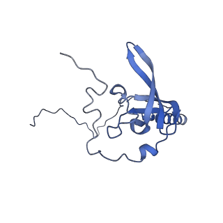 16616_8cf5_F_v1-6
Translocation intermediate 1 (TI-1) of 80S S. cerevisiae ribosome with ligands and eEF2 in the presence of sordarin