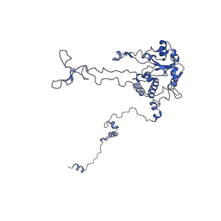 16616_8cf5_GG_v1-6
Translocation intermediate 1 (TI-1) of 80S S. cerevisiae ribosome with ligands and eEF2 in the presence of sordarin