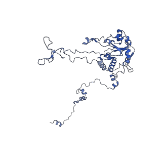 16616_8cf5_GG_v1-7
Translocation intermediate 1 (TI-1) of 80S S. cerevisiae ribosome with ligands and eEF2 in the presence of sordarin