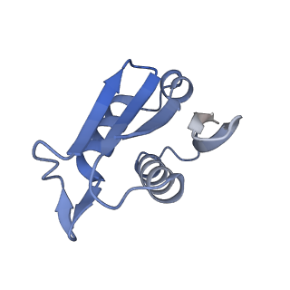 16616_8cf5_G_v1-7
Translocation intermediate 1 (TI-1) of 80S S. cerevisiae ribosome with ligands and eEF2 in the presence of sordarin