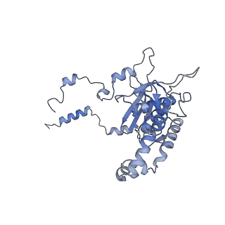 16616_8cf5_HH_v1-6
Translocation intermediate 1 (TI-1) of 80S S. cerevisiae ribosome with ligands and eEF2 in the presence of sordarin