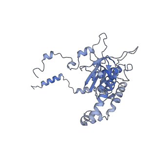 16616_8cf5_HH_v1-7
Translocation intermediate 1 (TI-1) of 80S S. cerevisiae ribosome with ligands and eEF2 in the presence of sordarin