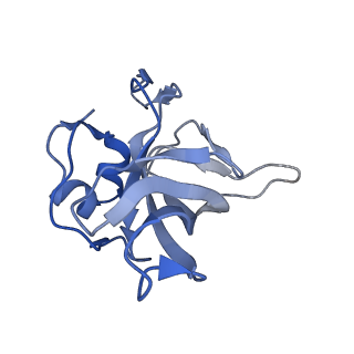 16616_8cf5_H_v1-7
Translocation intermediate 1 (TI-1) of 80S S. cerevisiae ribosome with ligands and eEF2 in the presence of sordarin