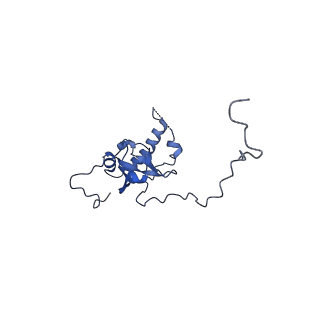 16616_8cf5_II_v1-6
Translocation intermediate 1 (TI-1) of 80S S. cerevisiae ribosome with ligands and eEF2 in the presence of sordarin