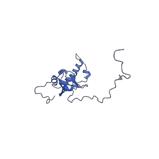 16616_8cf5_II_v1-7
Translocation intermediate 1 (TI-1) of 80S S. cerevisiae ribosome with ligands and eEF2 in the presence of sordarin