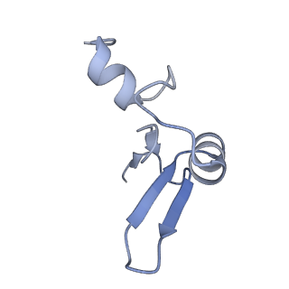 16616_8cf5_I_v1-7
Translocation intermediate 1 (TI-1) of 80S S. cerevisiae ribosome with ligands and eEF2 in the presence of sordarin