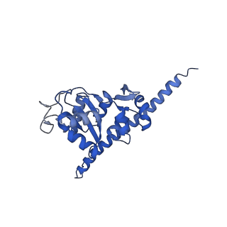 16616_8cf5_JJ_v1-6
Translocation intermediate 1 (TI-1) of 80S S. cerevisiae ribosome with ligands and eEF2 in the presence of sordarin