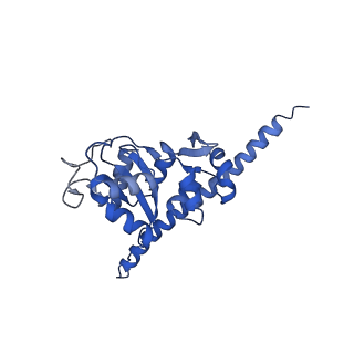 16616_8cf5_JJ_v1-7
Translocation intermediate 1 (TI-1) of 80S S. cerevisiae ribosome with ligands and eEF2 in the presence of sordarin