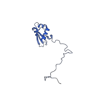 16616_8cf5_J_v1-6
Translocation intermediate 1 (TI-1) of 80S S. cerevisiae ribosome with ligands and eEF2 in the presence of sordarin