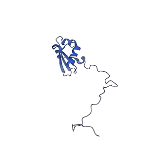 16616_8cf5_J_v1-7
Translocation intermediate 1 (TI-1) of 80S S. cerevisiae ribosome with ligands and eEF2 in the presence of sordarin