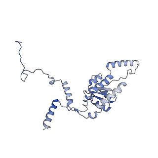 16616_8cf5_KK_v1-6
Translocation intermediate 1 (TI-1) of 80S S. cerevisiae ribosome with ligands and eEF2 in the presence of sordarin