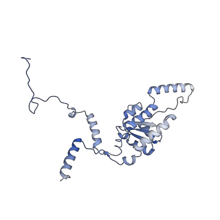 16616_8cf5_KK_v1-7
Translocation intermediate 1 (TI-1) of 80S S. cerevisiae ribosome with ligands and eEF2 in the presence of sordarin