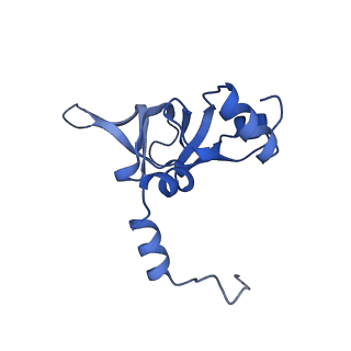 16616_8cf5_K_v1-6
Translocation intermediate 1 (TI-1) of 80S S. cerevisiae ribosome with ligands and eEF2 in the presence of sordarin