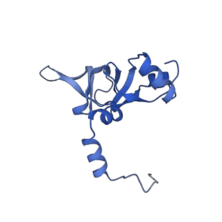 16616_8cf5_K_v1-7
Translocation intermediate 1 (TI-1) of 80S S. cerevisiae ribosome with ligands and eEF2 in the presence of sordarin