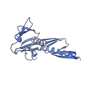 16616_8cf5_LL_v1-6
Translocation intermediate 1 (TI-1) of 80S S. cerevisiae ribosome with ligands and eEF2 in the presence of sordarin