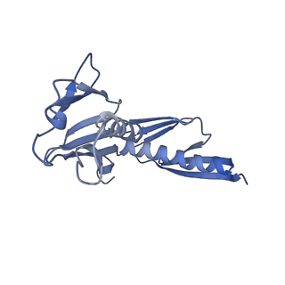 16616_8cf5_LL_v1-7
Translocation intermediate 1 (TI-1) of 80S S. cerevisiae ribosome with ligands and eEF2 in the presence of sordarin