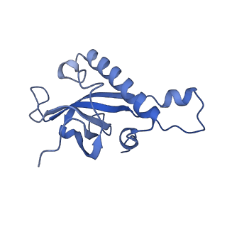 16616_8cf5_L_v1-6
Translocation intermediate 1 (TI-1) of 80S S. cerevisiae ribosome with ligands and eEF2 in the presence of sordarin