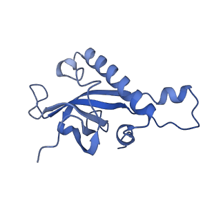 16616_8cf5_L_v1-7
Translocation intermediate 1 (TI-1) of 80S S. cerevisiae ribosome with ligands and eEF2 in the presence of sordarin