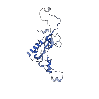 16616_8cf5_MM_v1-6
Translocation intermediate 1 (TI-1) of 80S S. cerevisiae ribosome with ligands and eEF2 in the presence of sordarin