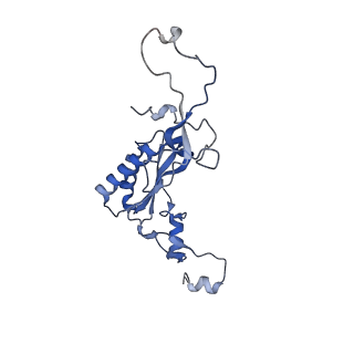 16616_8cf5_MM_v1-7
Translocation intermediate 1 (TI-1) of 80S S. cerevisiae ribosome with ligands and eEF2 in the presence of sordarin