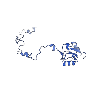 16616_8cf5_M_v1-6
Translocation intermediate 1 (TI-1) of 80S S. cerevisiae ribosome with ligands and eEF2 in the presence of sordarin