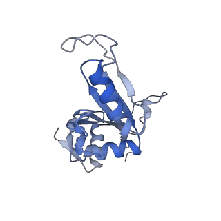 16616_8cf5_NN_v1-6
Translocation intermediate 1 (TI-1) of 80S S. cerevisiae ribosome with ligands and eEF2 in the presence of sordarin