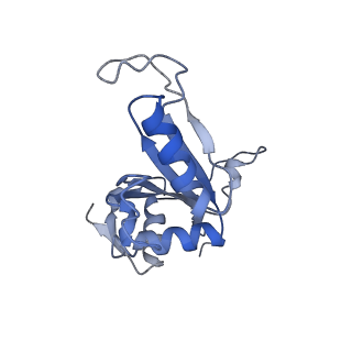 16616_8cf5_NN_v1-7
Translocation intermediate 1 (TI-1) of 80S S. cerevisiae ribosome with ligands and eEF2 in the presence of sordarin