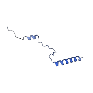 16616_8cf5_N_v1-7
Translocation intermediate 1 (TI-1) of 80S S. cerevisiae ribosome with ligands and eEF2 in the presence of sordarin