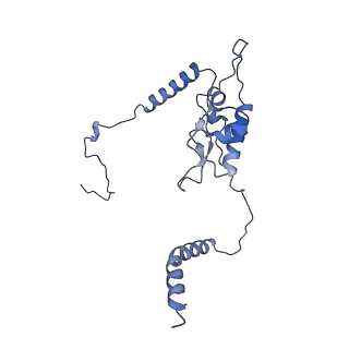 16616_8cf5_OO_v1-7
Translocation intermediate 1 (TI-1) of 80S S. cerevisiae ribosome with ligands and eEF2 in the presence of sordarin