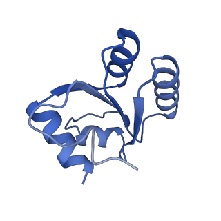 16616_8cf5_O_v1-7
Translocation intermediate 1 (TI-1) of 80S S. cerevisiae ribosome with ligands and eEF2 in the presence of sordarin