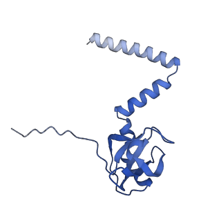 16616_8cf5_PP_v1-7
Translocation intermediate 1 (TI-1) of 80S S. cerevisiae ribosome with ligands and eEF2 in the presence of sordarin