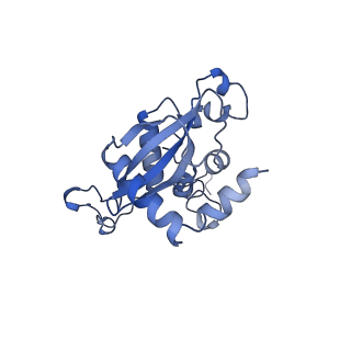 16616_8cf5_QQ_v1-7
Translocation intermediate 1 (TI-1) of 80S S. cerevisiae ribosome with ligands and eEF2 in the presence of sordarin