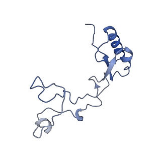 16616_8cf5_Q_v1-7
Translocation intermediate 1 (TI-1) of 80S S. cerevisiae ribosome with ligands and eEF2 in the presence of sordarin