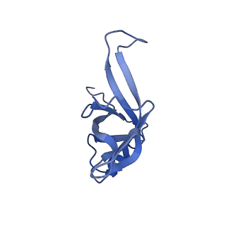 16616_8cf5_R_v1-7
Translocation intermediate 1 (TI-1) of 80S S. cerevisiae ribosome with ligands and eEF2 in the presence of sordarin