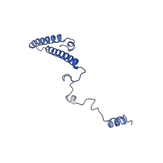 16616_8cf5_T_v1-6
Translocation intermediate 1 (TI-1) of 80S S. cerevisiae ribosome with ligands and eEF2 in the presence of sordarin