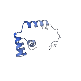 16616_8cf5_U_v1-7
Translocation intermediate 1 (TI-1) of 80S S. cerevisiae ribosome with ligands and eEF2 in the presence of sordarin