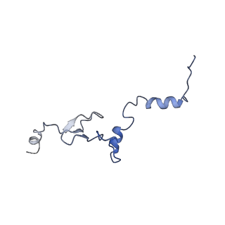 16616_8cf5_V_v1-6
Translocation intermediate 1 (TI-1) of 80S S. cerevisiae ribosome with ligands and eEF2 in the presence of sordarin