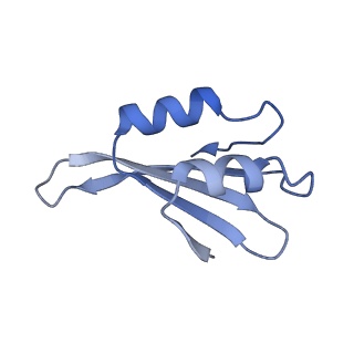 16616_8cf5_W_v1-6
Translocation intermediate 1 (TI-1) of 80S S. cerevisiae ribosome with ligands and eEF2 in the presence of sordarin
