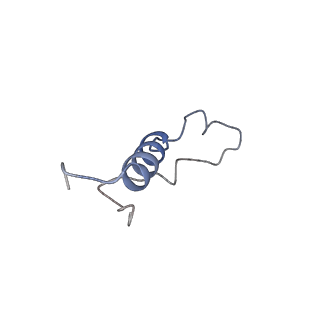 16616_8cf5_X_v1-7
Translocation intermediate 1 (TI-1) of 80S S. cerevisiae ribosome with ligands and eEF2 in the presence of sordarin