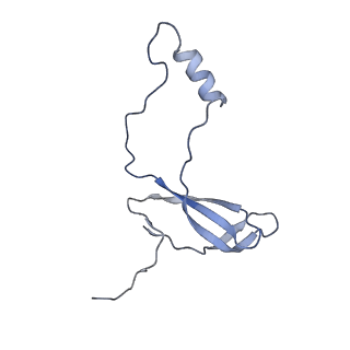 16616_8cf5_a_v1-6
Translocation intermediate 1 (TI-1) of 80S S. cerevisiae ribosome with ligands and eEF2 in the presence of sordarin