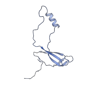 16616_8cf5_a_v1-7
Translocation intermediate 1 (TI-1) of 80S S. cerevisiae ribosome with ligands and eEF2 in the presence of sordarin