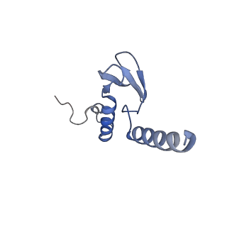 16616_8cf5_b_v1-7
Translocation intermediate 1 (TI-1) of 80S S. cerevisiae ribosome with ligands and eEF2 in the presence of sordarin