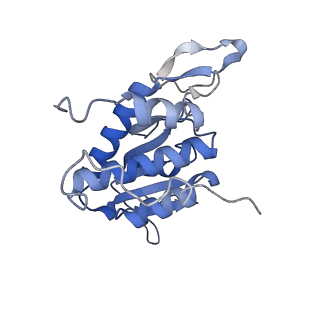 16616_8cf5_d_v1-6
Translocation intermediate 1 (TI-1) of 80S S. cerevisiae ribosome with ligands and eEF2 in the presence of sordarin